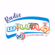 Radio Willaq logo