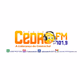 Radio Cedro FM 101,9 logo