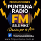 Puntana FM logo