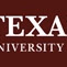 TAMU Parking Enforcement logo