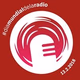 Radio Siruner FM logo