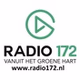 Radio 172 logo