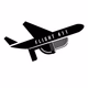 Flight 411 logo
