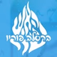 ברסלב מיוזיק logo
