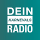 Radio RSG - Dein Karnevals logo