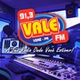 Vale FM 91.3 logo