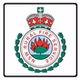 GRN Network Fire and Rescue Blue Mountains Rural Fire Service logo