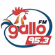Gallo FM 95.3 - XHPEDJ logo