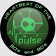Vizyon Pulse logo