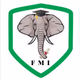 FMI Radio logo