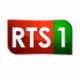RTS TV logo