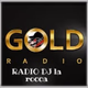 Gold Radio La Rocca logo