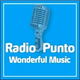 Radio Punto - Wonderful Music logo
