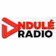 Ndulé Radio logo