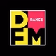 DFM Biysk logo