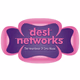 DesiNetworks logo