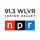 91.3 WLVR - WLVR logo