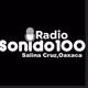 Radio Sonido100 Salina Cruz Oaxaca logo