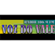 Radio voz do vale logo
