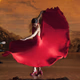 Miled Music - Flamenco logo