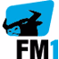 Radio FM1 logo
