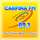 Carpina FM 89.1 logo