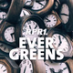 RPR1. - Evergreens logo