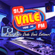 Vale FM 91.3 logo