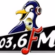 Radio Pinguin FM logo