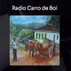 Radio Carro de Boi logo