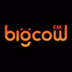 大牛FM logo