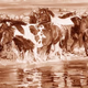 Ranch & Reata logo