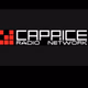 Radio Caprice - Russian Rock/Bard Rock logo