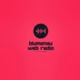 Blumenau Web Rádio logo
