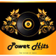 Power Hits Web Rádio - Som Brasil logo