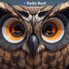 Radio Boof - Persian Classic logo