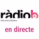 Ciutat de Badalona logo