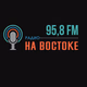 Радио на востоке logo