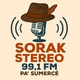 SORAK STEREO 99.1 logo