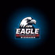 AFN Wiesbaden - The Eagle logo
