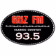 Griz FM 98.1 - WYDS-HD3 logo