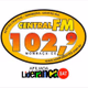 Rádio Central FM 102.9 logo