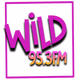 WILD 95.3 FM logo