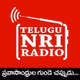 Telugu NRI Radio logo
