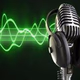 Radio Manerba International logo