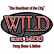 104.1 FM WJLD - W231DE logo