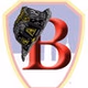 City Wide Fire Departement logo