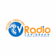 Cultural Vibrations - WLAA logo