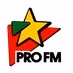 ProFM - ProFM Alternative logo