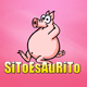 EsAuRiRaDio logo